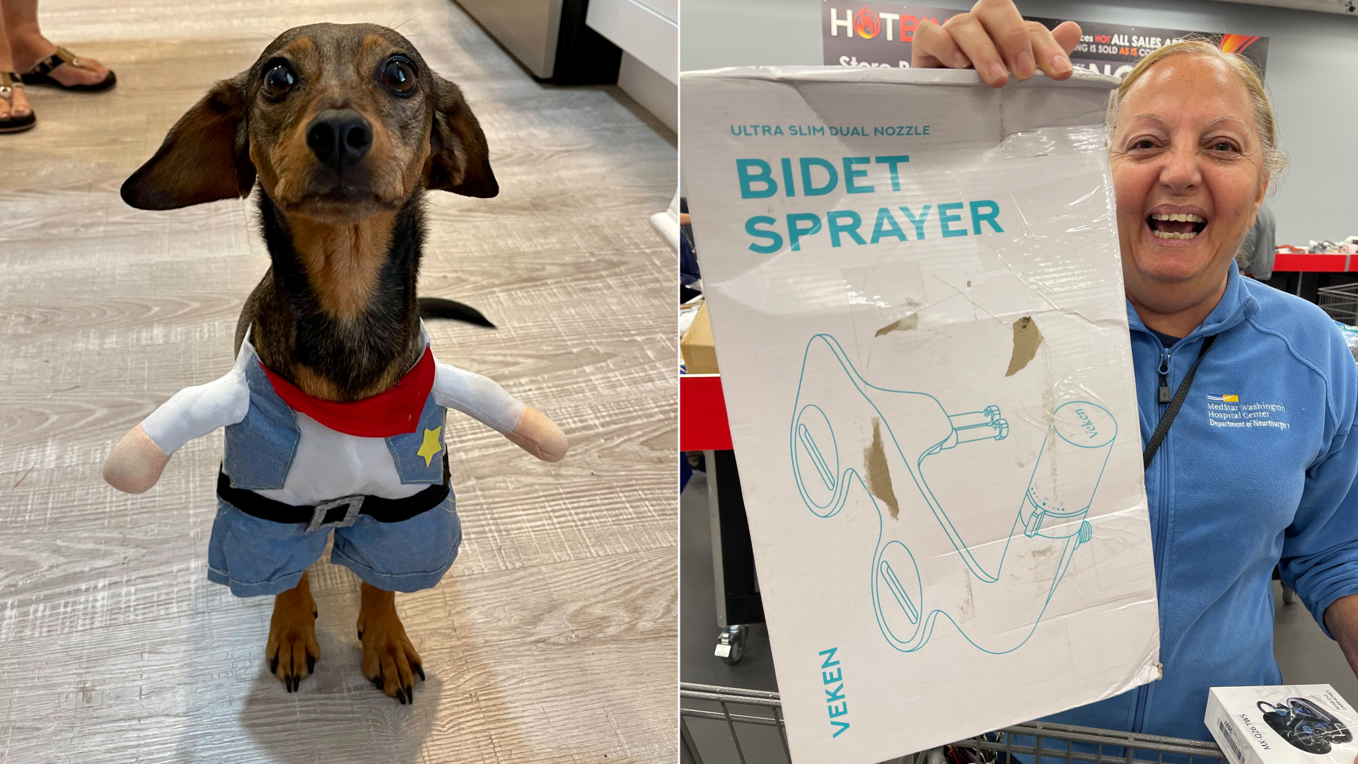 a photo of Selene's dog wearing a cowboy costume and a photo of Selene's mom holding a crushed Bidet box
