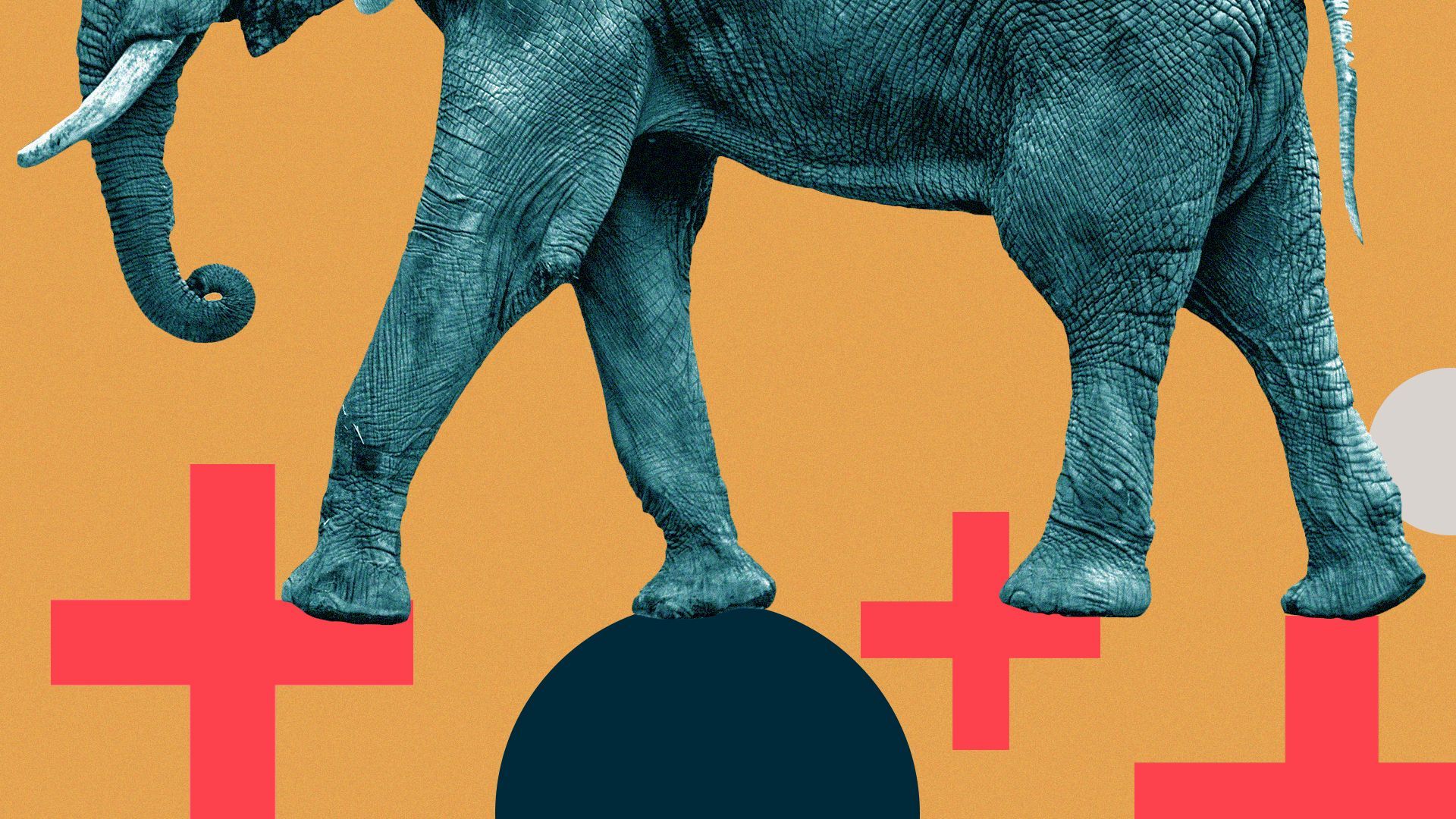 Illustration of an elephant stepping on red medical crosses and circles