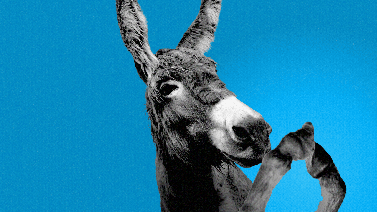 Why Dems are suddenly confident about 2026