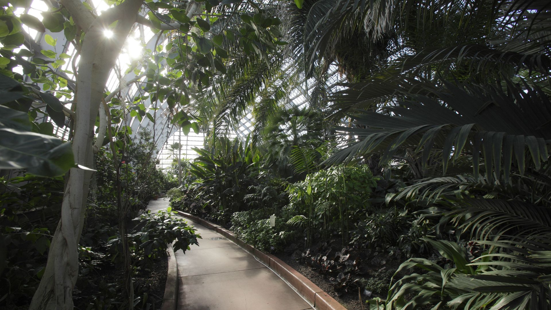 indoor tropical garden