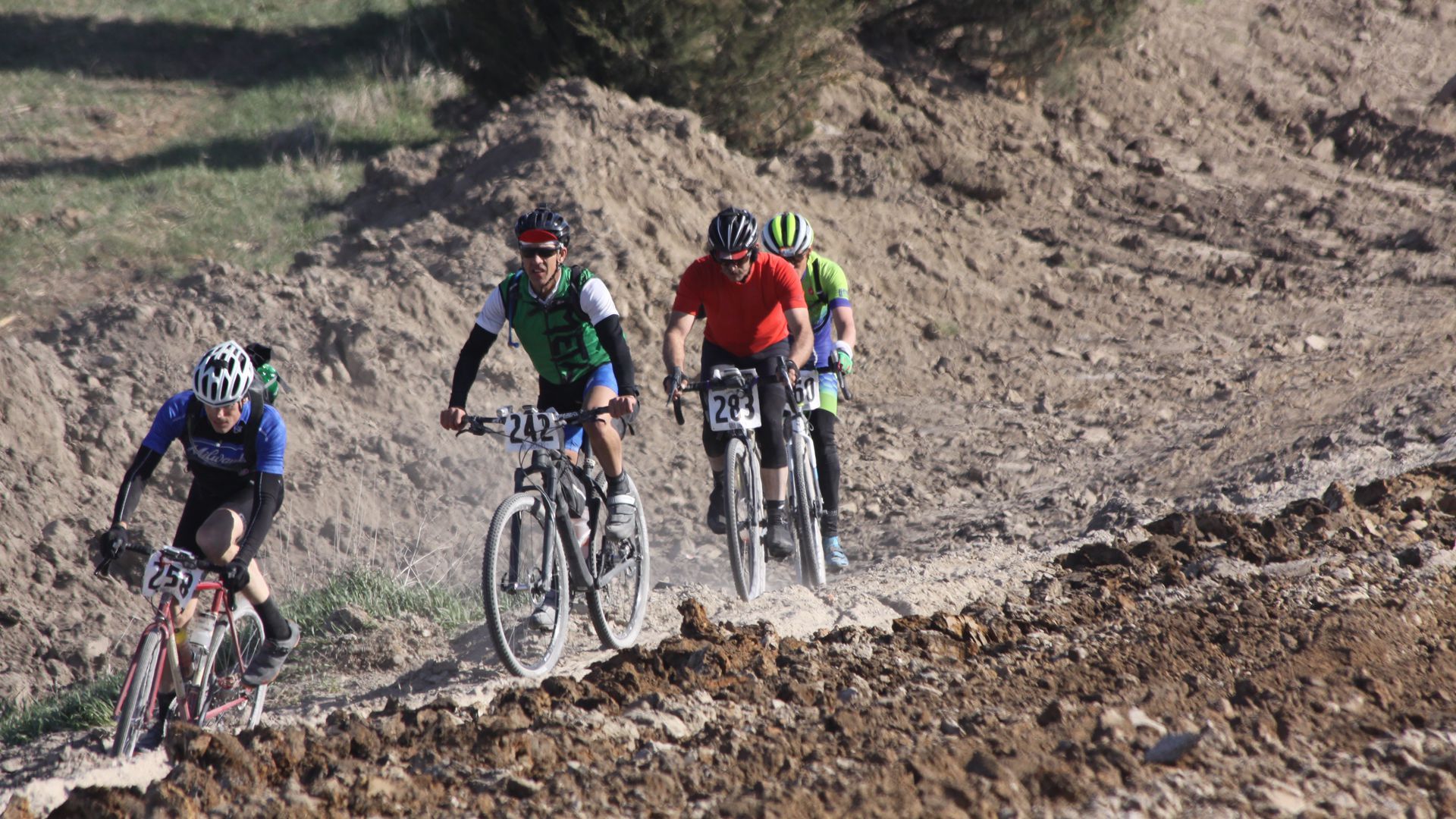 Four gravel bikers navigate rough terrain.