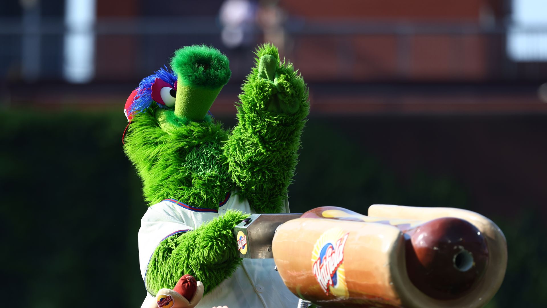 Phillie Phanatic shoots hotdogs into the stands during a Phillies game.
