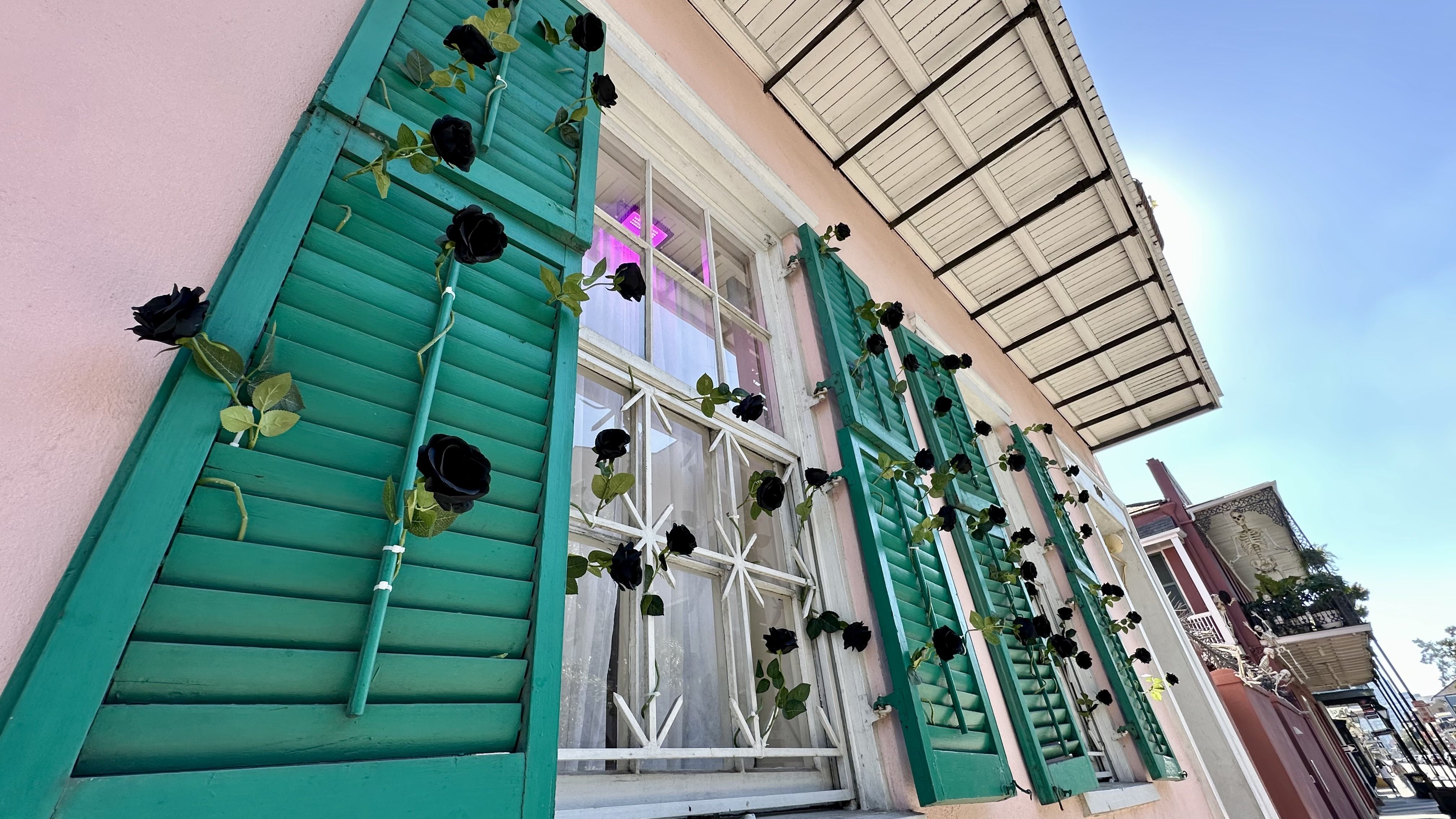Photo shows a pink and green house decorated with black roses.