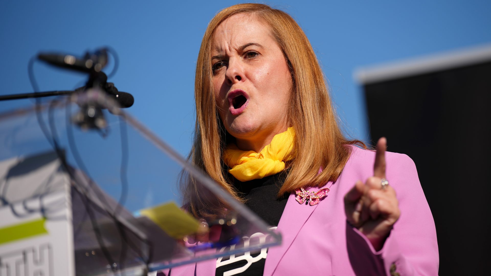 Liz Stein addresses a rally outside the U.S. Capitol in Washington, D.C., calling for transparency in the Epstein and Maxwell cases.