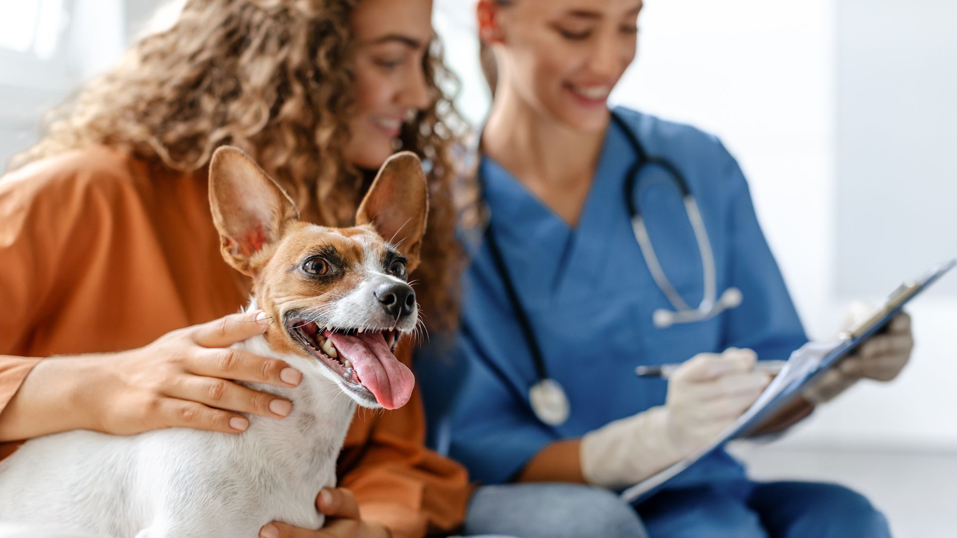 A woman is holding a dog. She is sitting next to a vet who is holding a clipboard.