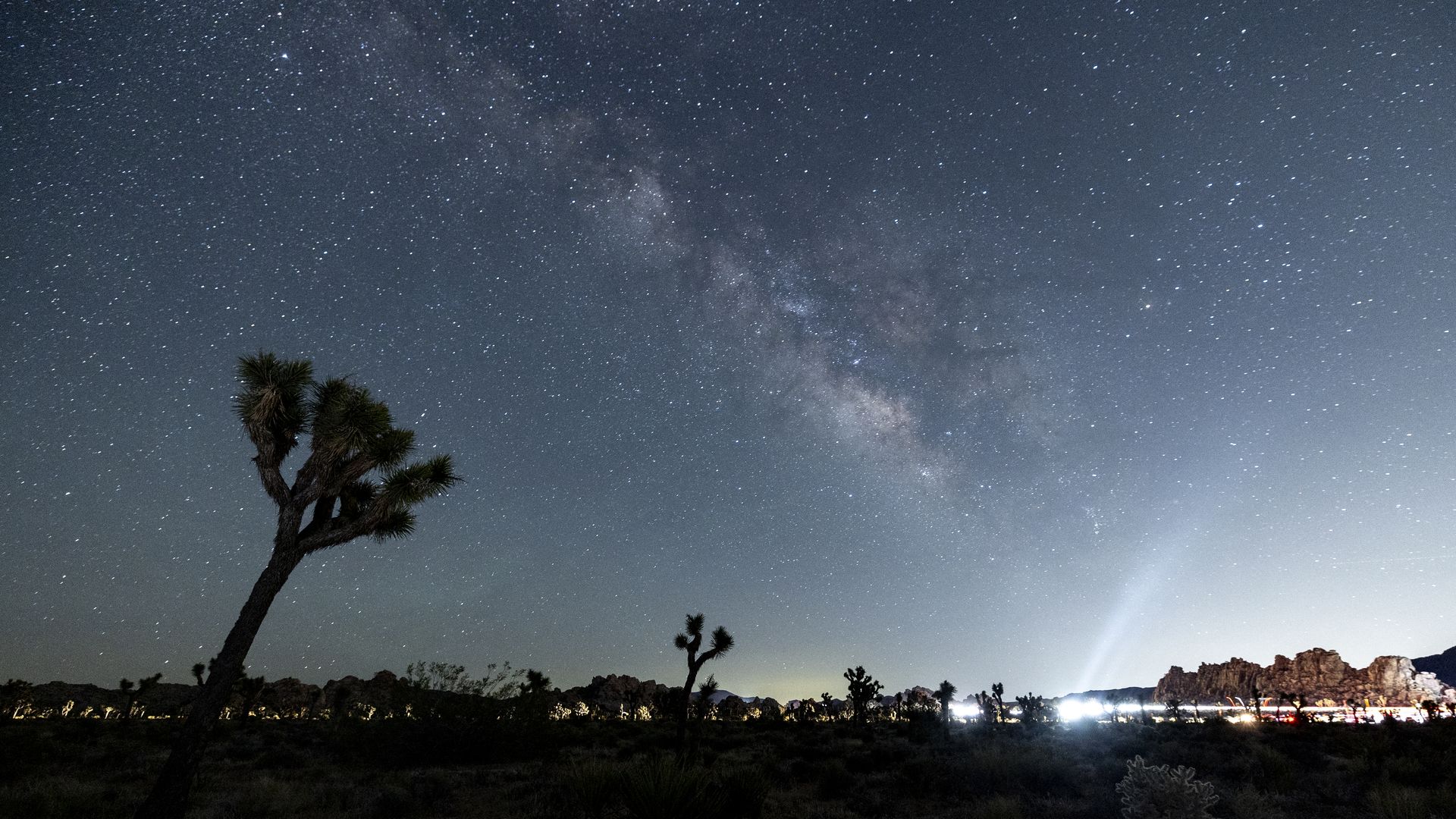 The Milky Way shines over a Joshua Tree at night. 