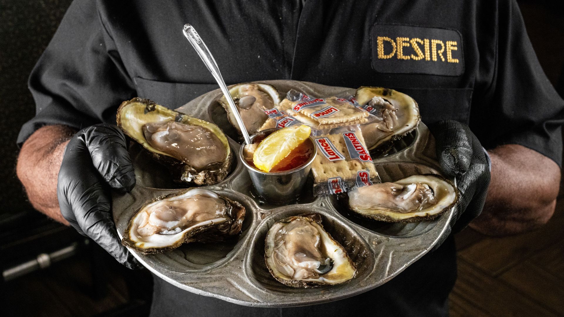Photo shows someone holding a half dozen oysters.