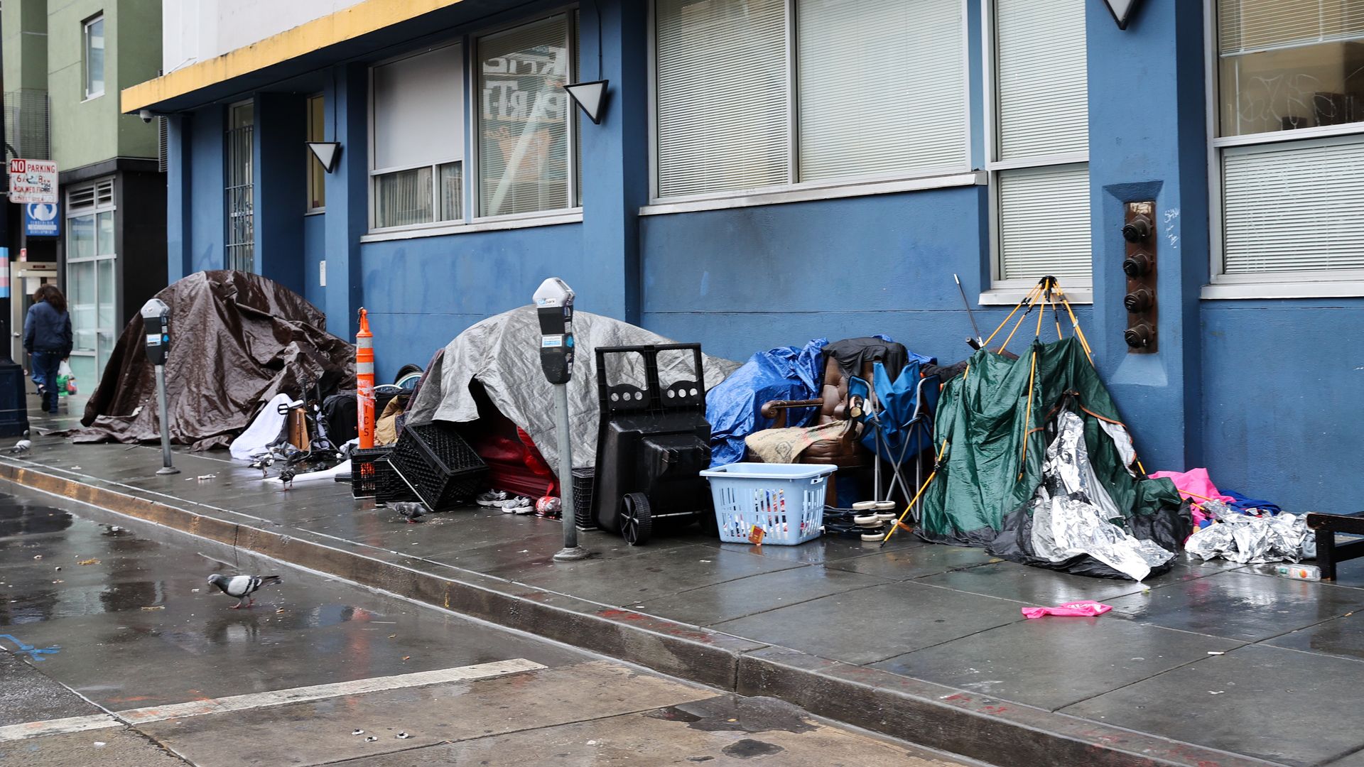 Sidewalk with multiple tents and tarps set up along a blue building, various belongings scattered, parking meters nearby, and a wet street reflecting a pigeon walking by.