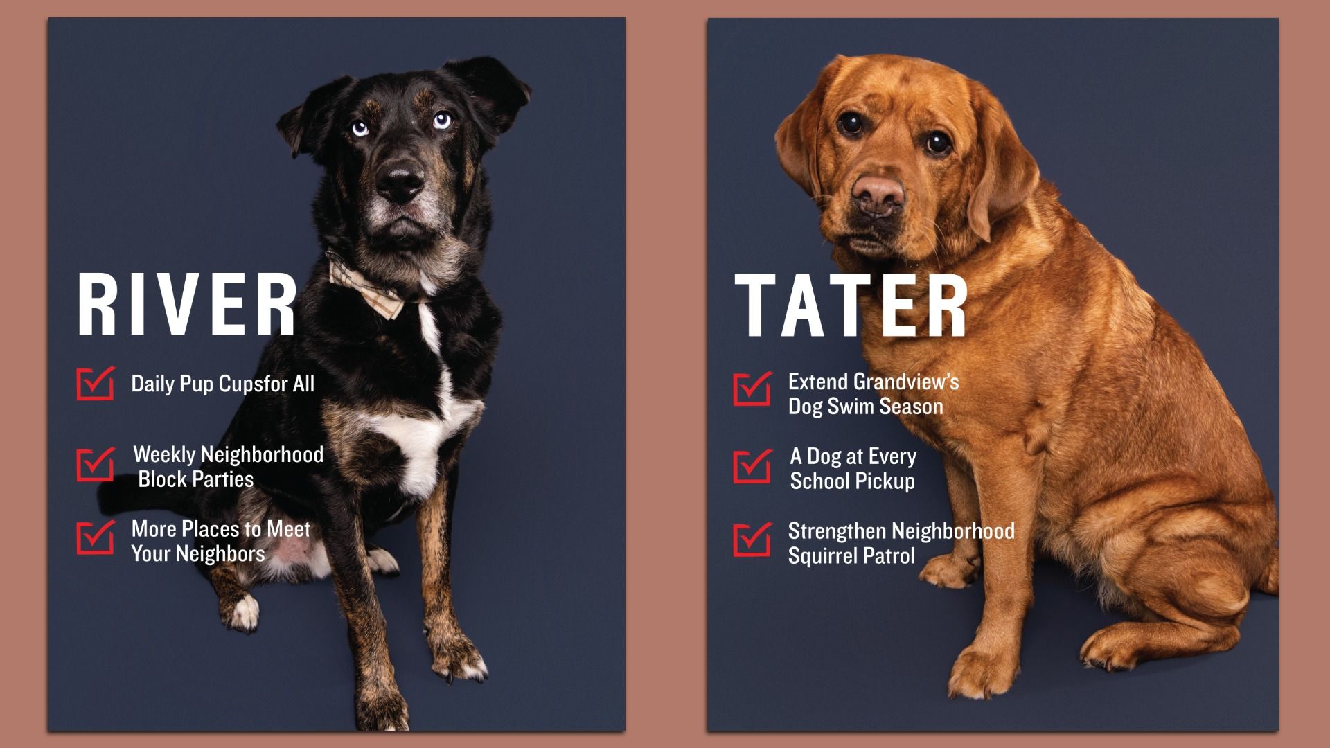 Two poster cards side by side on a brown frame: left shows a black dog with white chest under "RIVER" and a red checklist; right shows a brown dog under "TATER" with more items.
