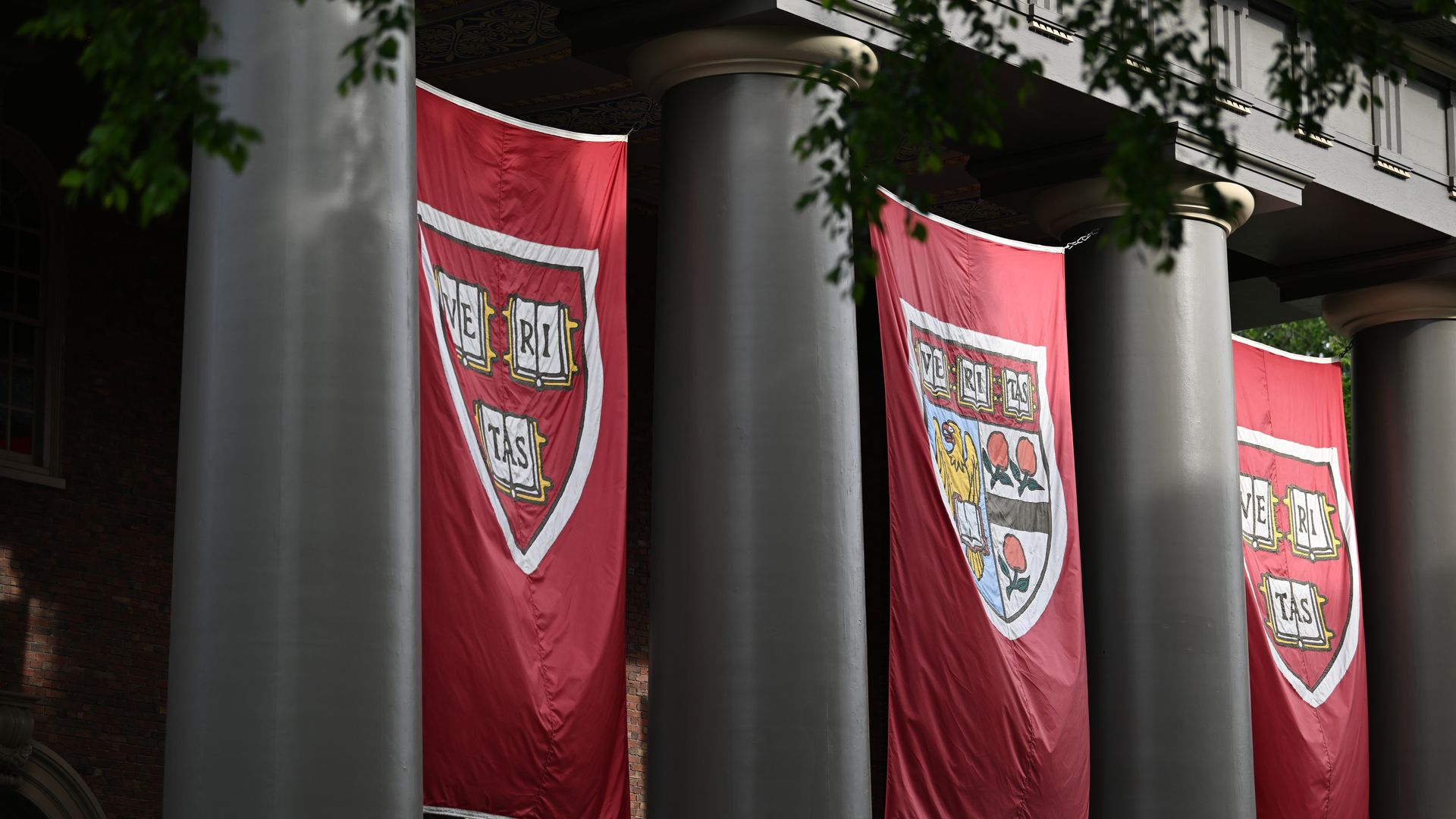 Banners hang in Harvard Yard