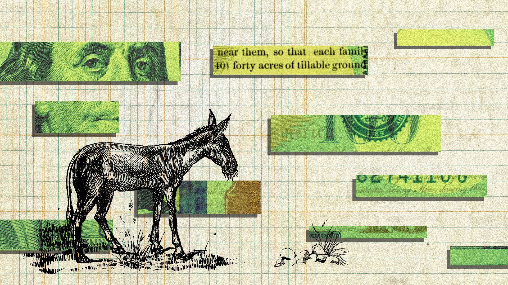 Illustration of a mule, strips of a one hundred dollar bill, and ledger paper.