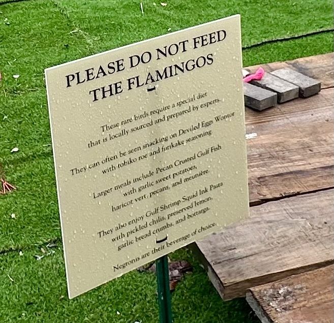 Image shows a sign that says "please do not feed the flamingos"