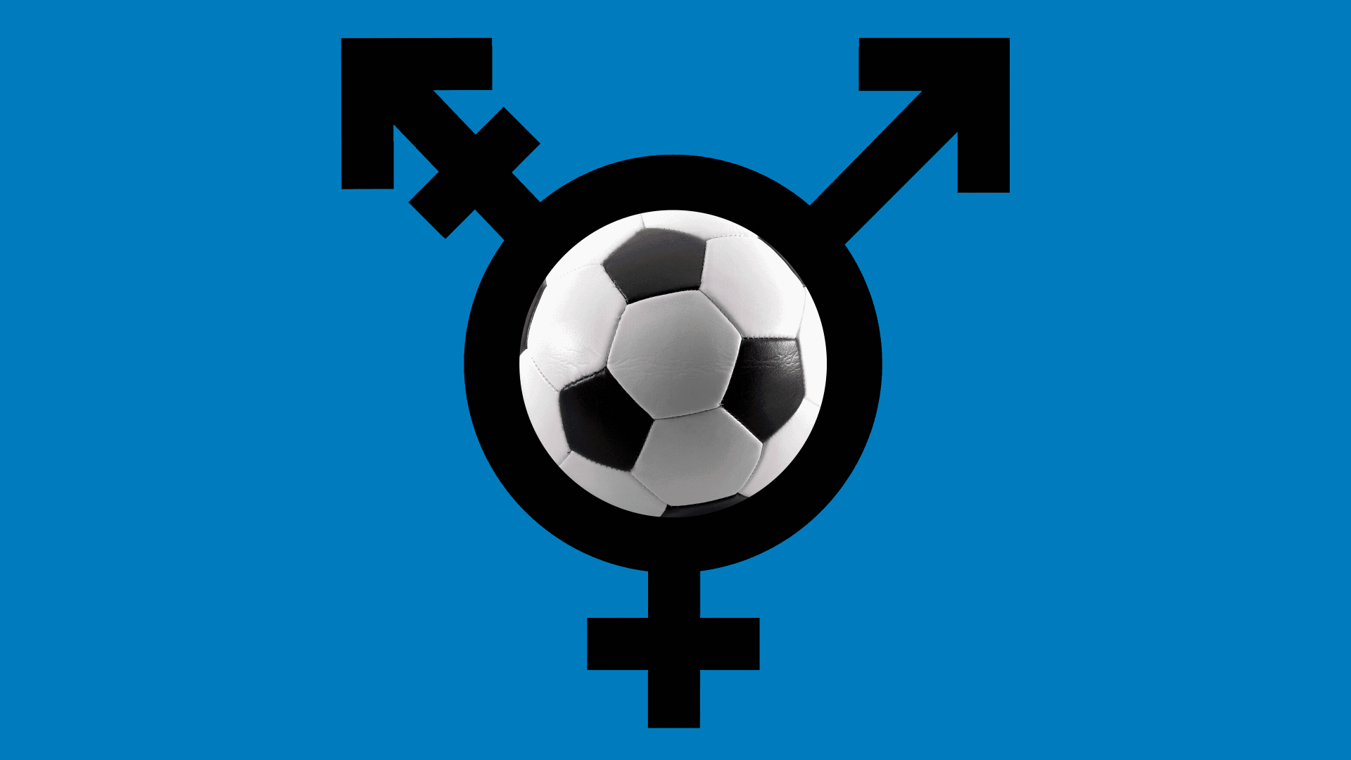 Illustration of a transgender symbol with a soccer ball, tennis ball, basketball, and baseball cycling through the circle in the middle.