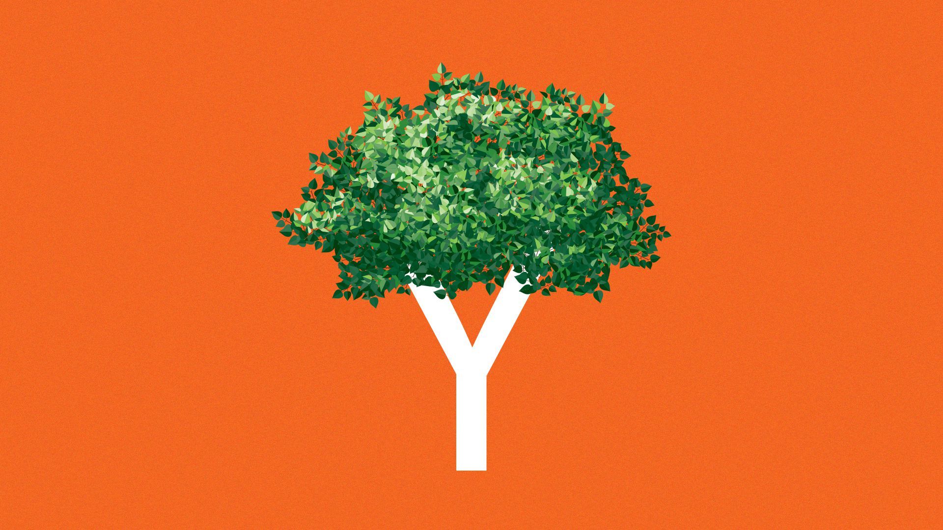 Illustration of the Y Combinator logo with leaves on top, forming a tree.