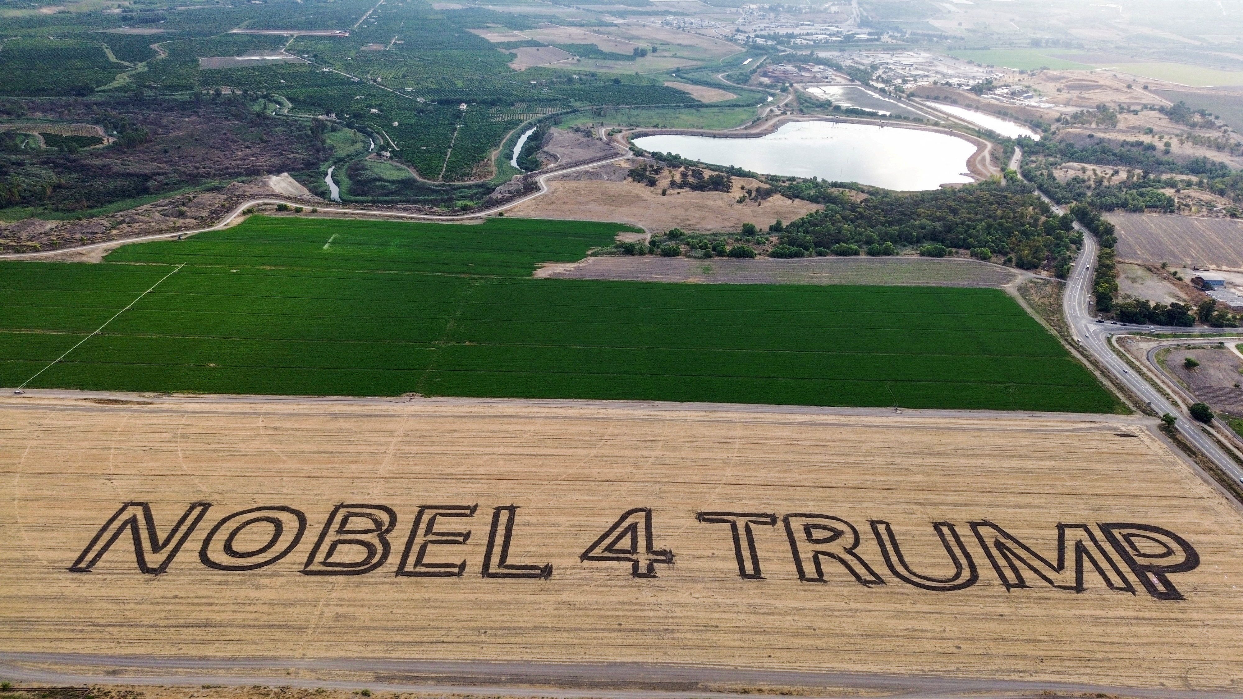 Drone view of a crop-art portrait by agricultural artist Peter Winner in a field near Kibbutz Maoz Haim in northern Israel today. Photo: Guy Sherry/Reuters