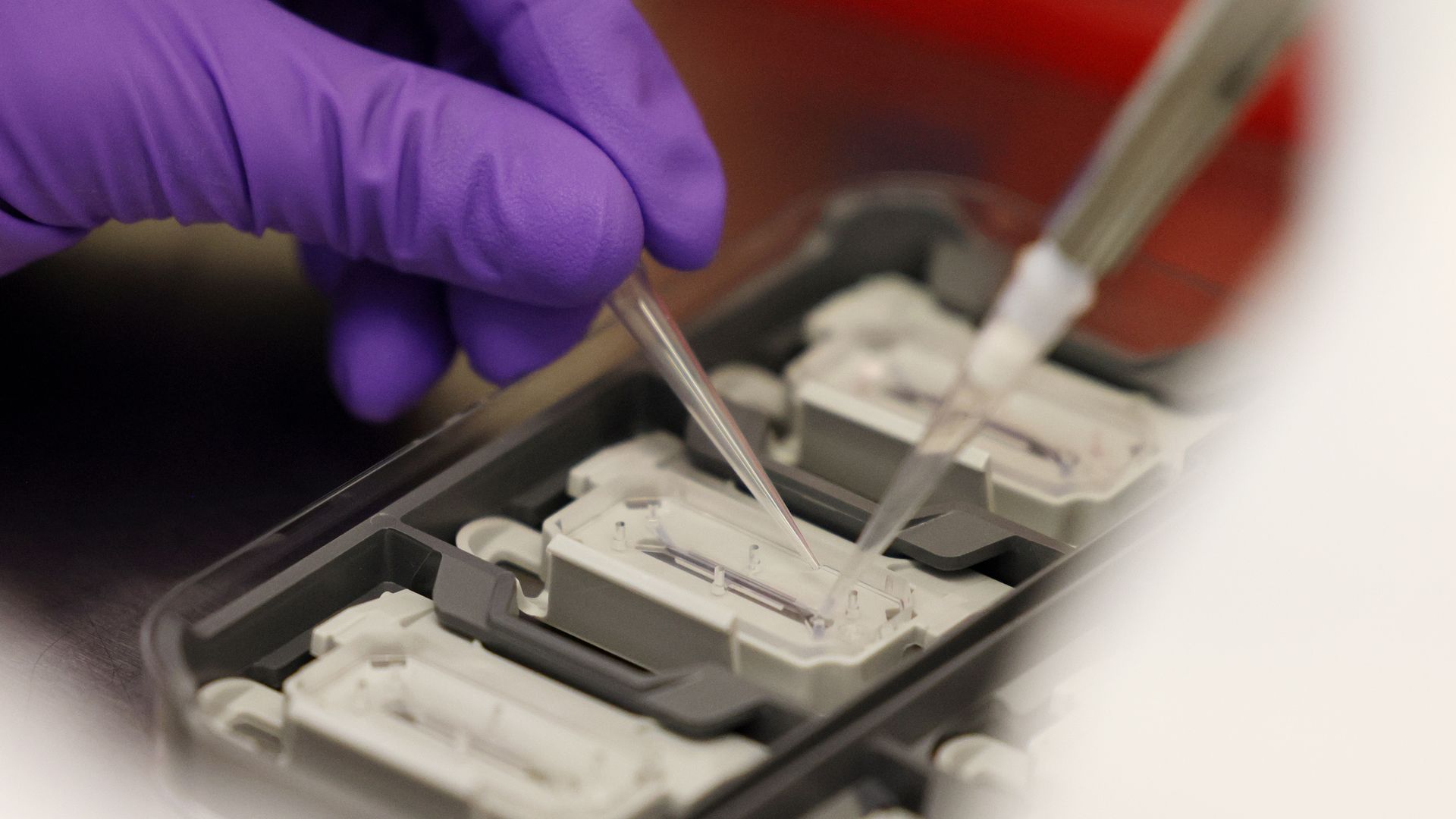 FDA Mulai Ganti Tes Hewan dengan AI untuk Obat Lebih Cepat dan Aman