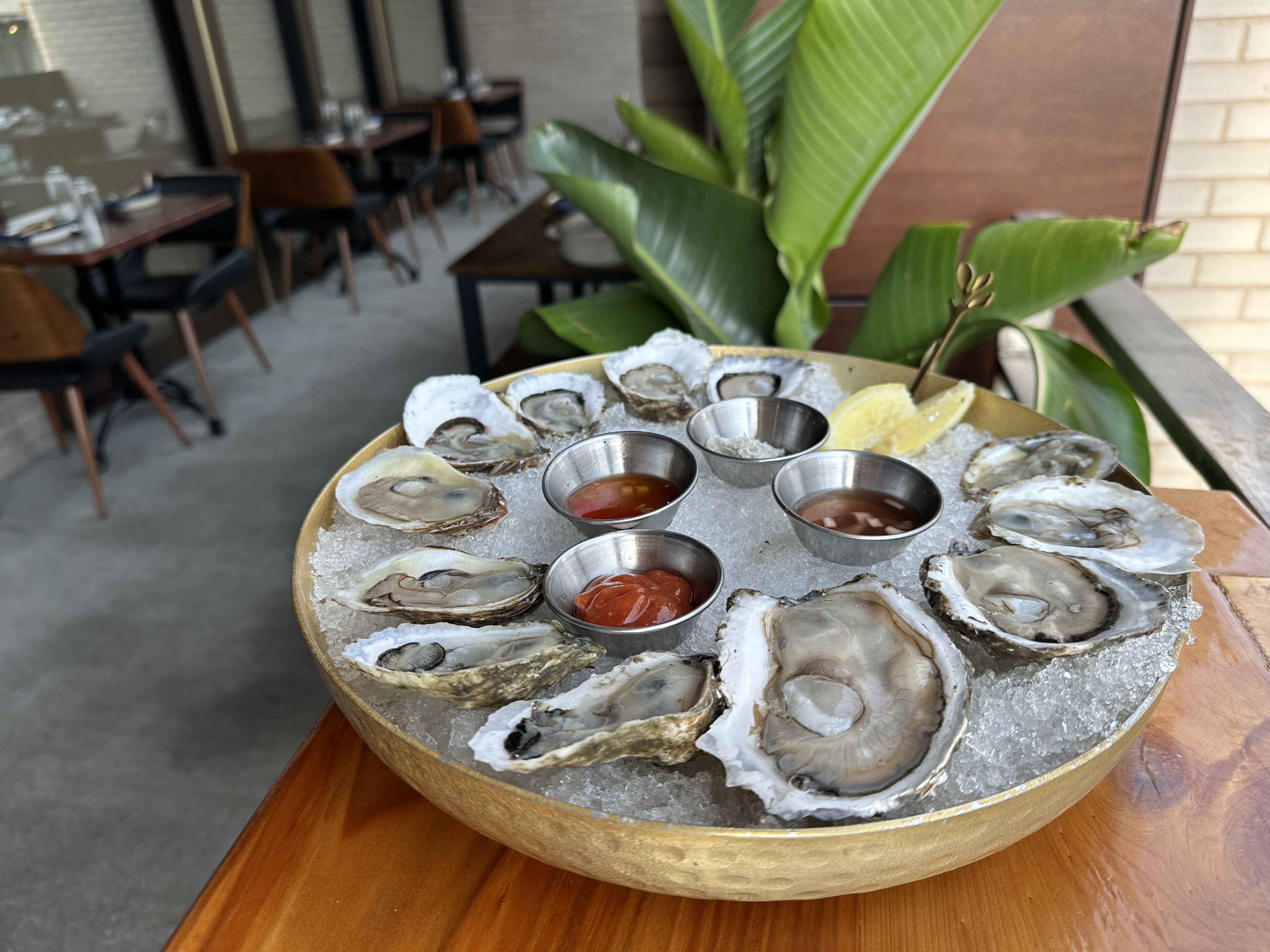 Photo shows oysters at Pigeon & Whale on Freret Street in New Orleans