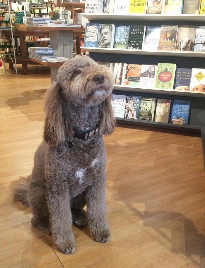 Courtesy of Paper Skyscraper