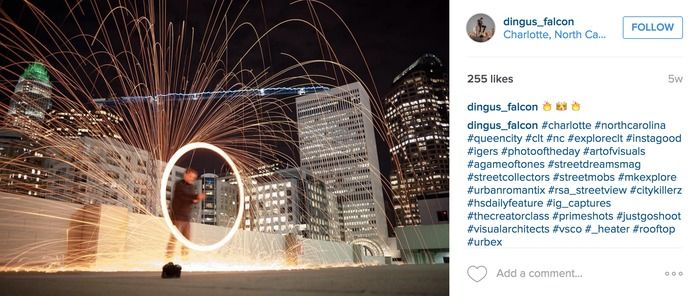 dingus falcon photographer