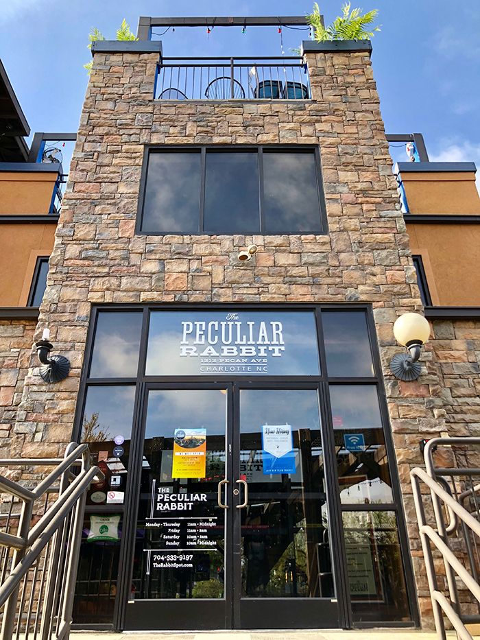 peculiar rabbit Plaza Midwood 