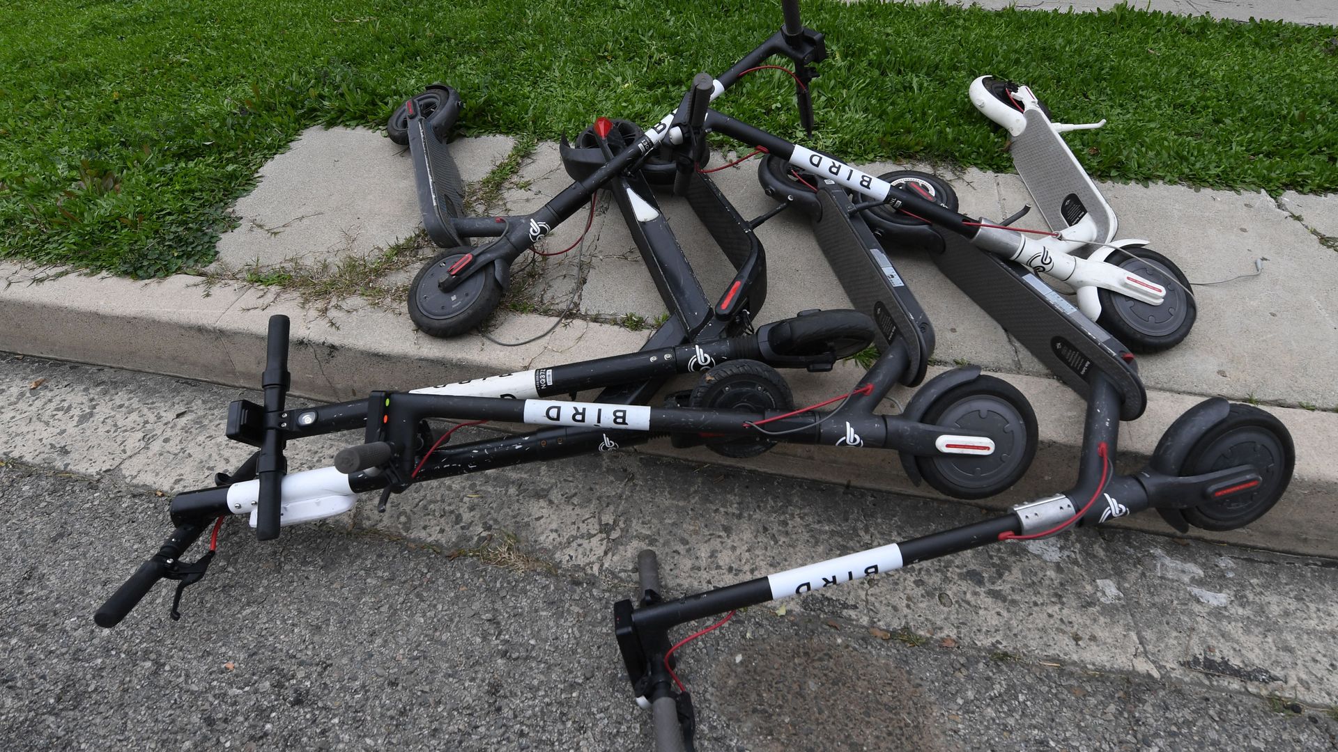 Bird scooters