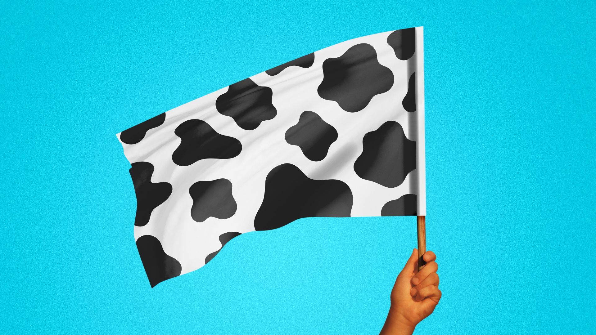Illustration of a hand waving a racing flag, but instead of checkers, the flag has a black and white cow spot pattern. 
