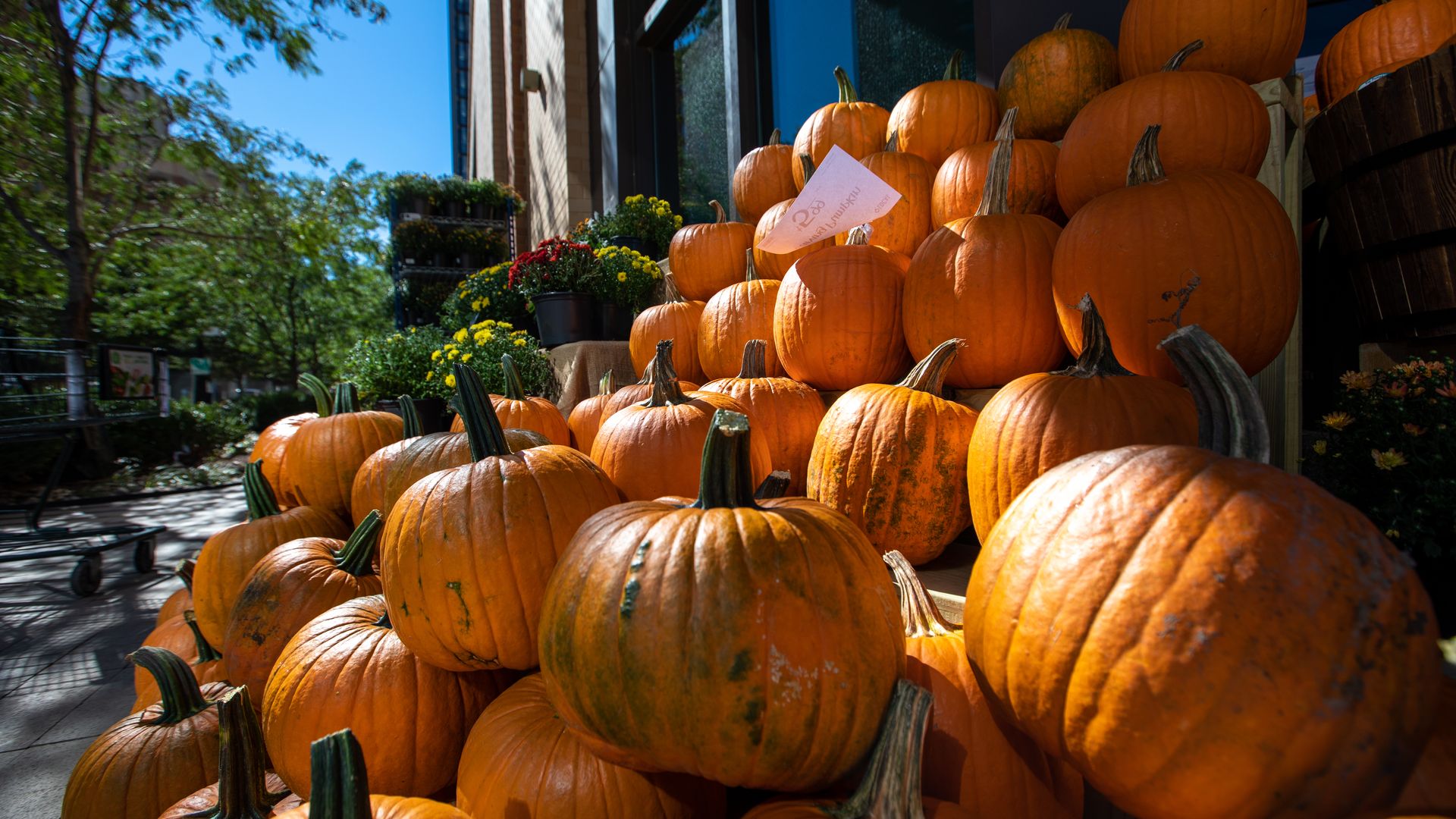 A view of stalls with pumpkins and flowers for Halloween. 