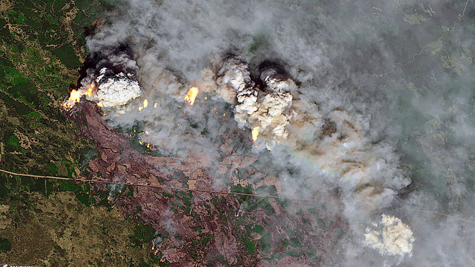 Pyrocumulus clouds from Alberta wildfires seen via satellite imagery.