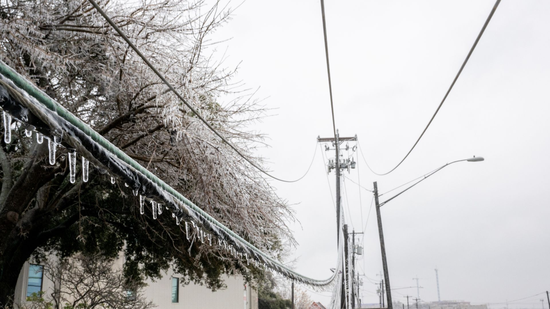 Icicles form on a power line.