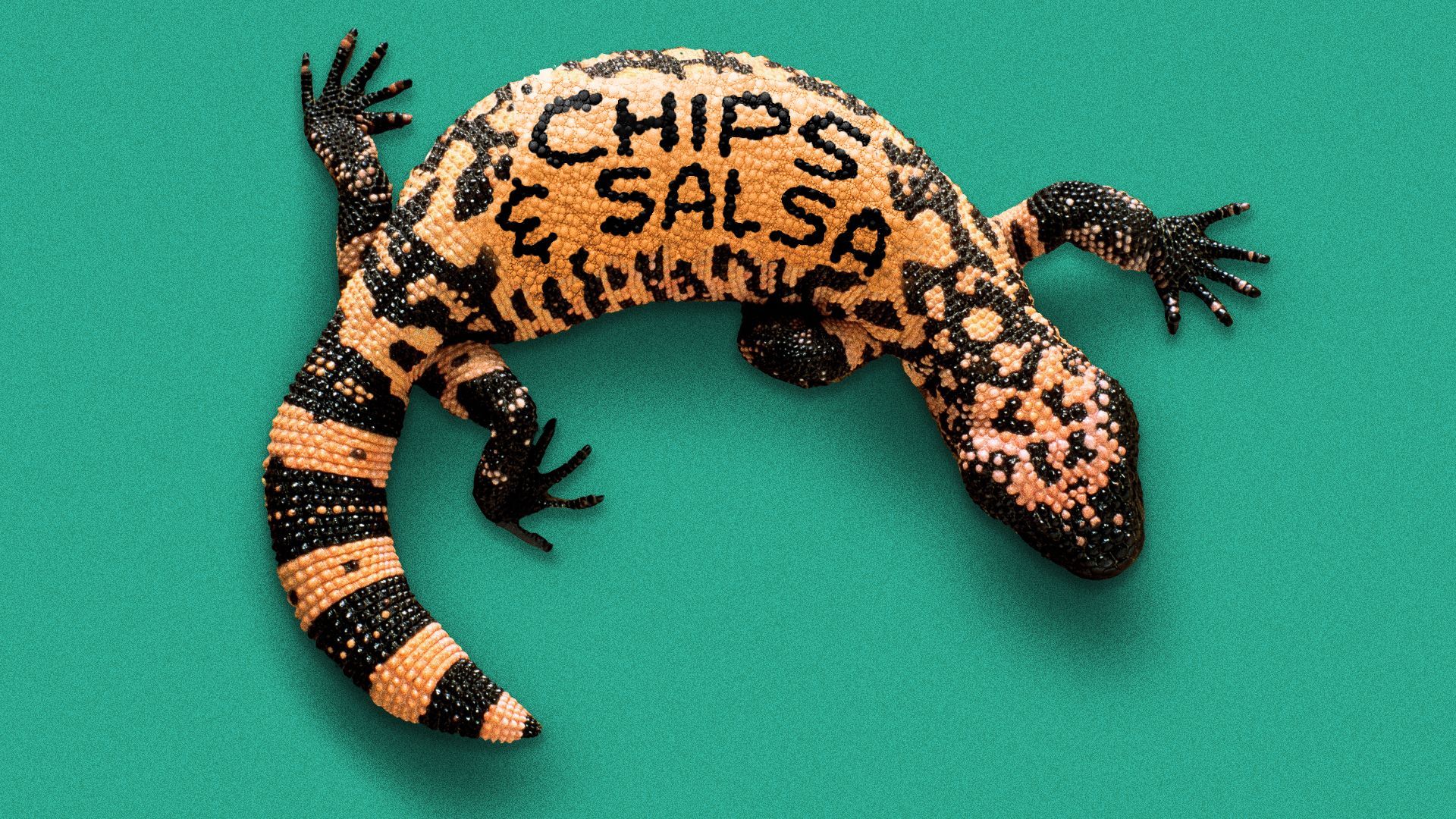 Illustration of a gila monster whose stripes spell "Chips and Salsa."