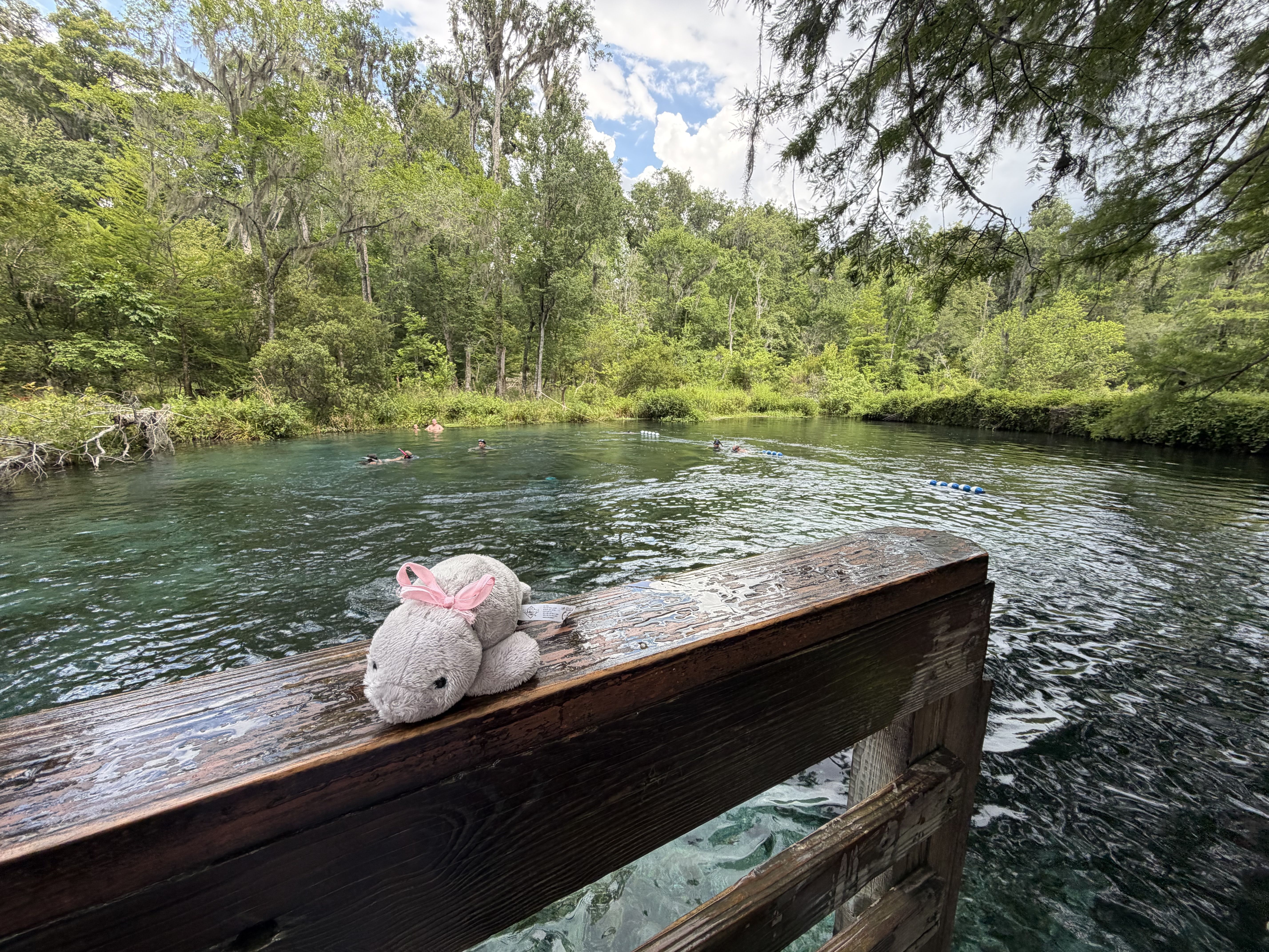 A gray plush manatee with a pink bow sits on the bench. In the background, lush green trees line the bank and swimmers enjoy the water beneath a blue sky.