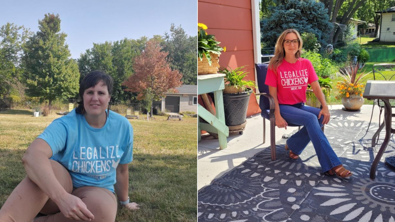 Ankeny backyard chickens get closer to fruition Axios Des Moines