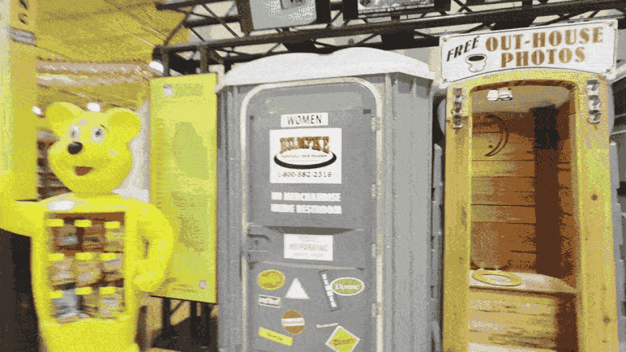 The big Jungle Jim's bathroom reveal