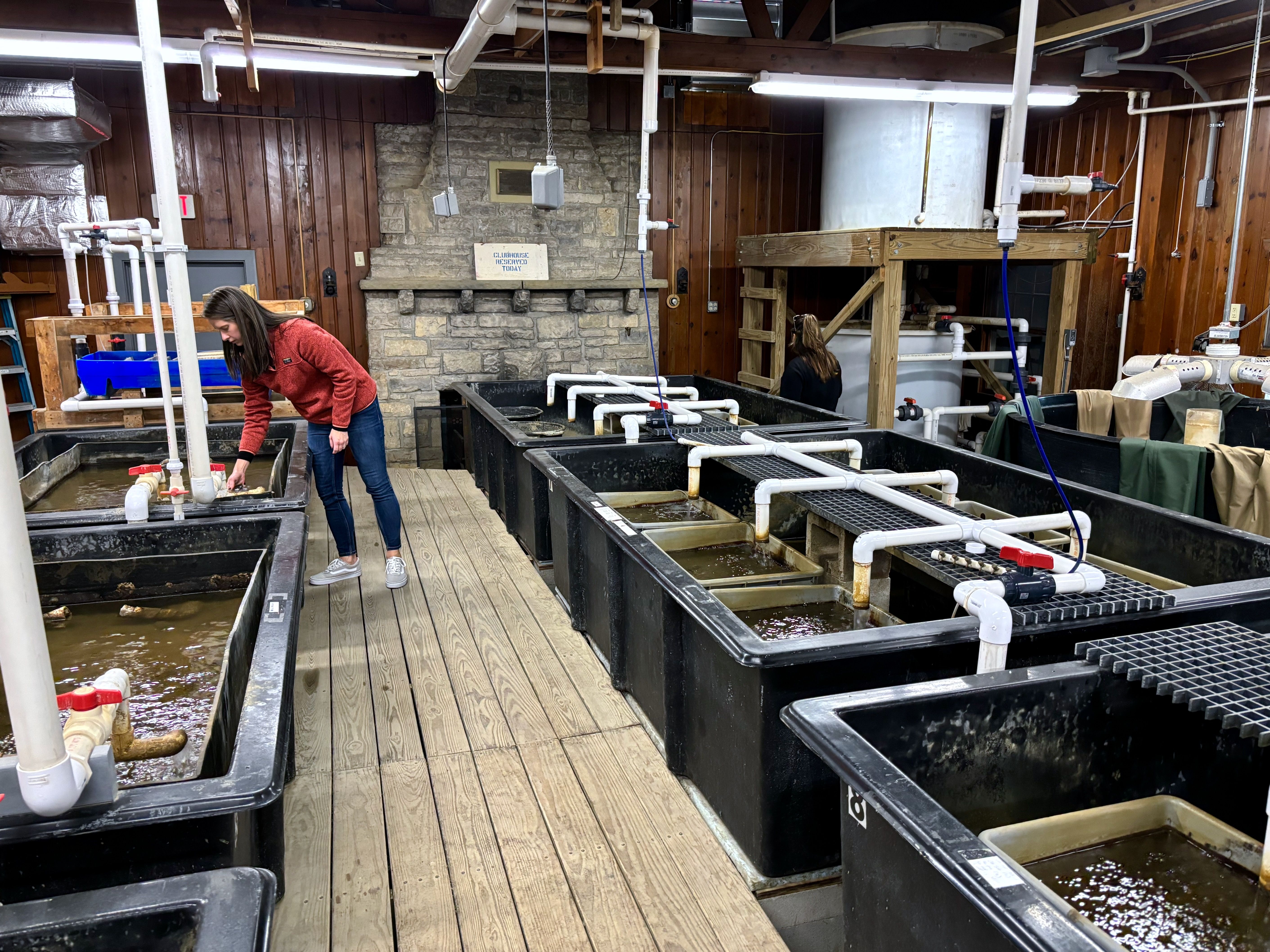 OSU researcher Ieva Roznere showcases rows of tubs inside the Watters Aquatic Conservation Center