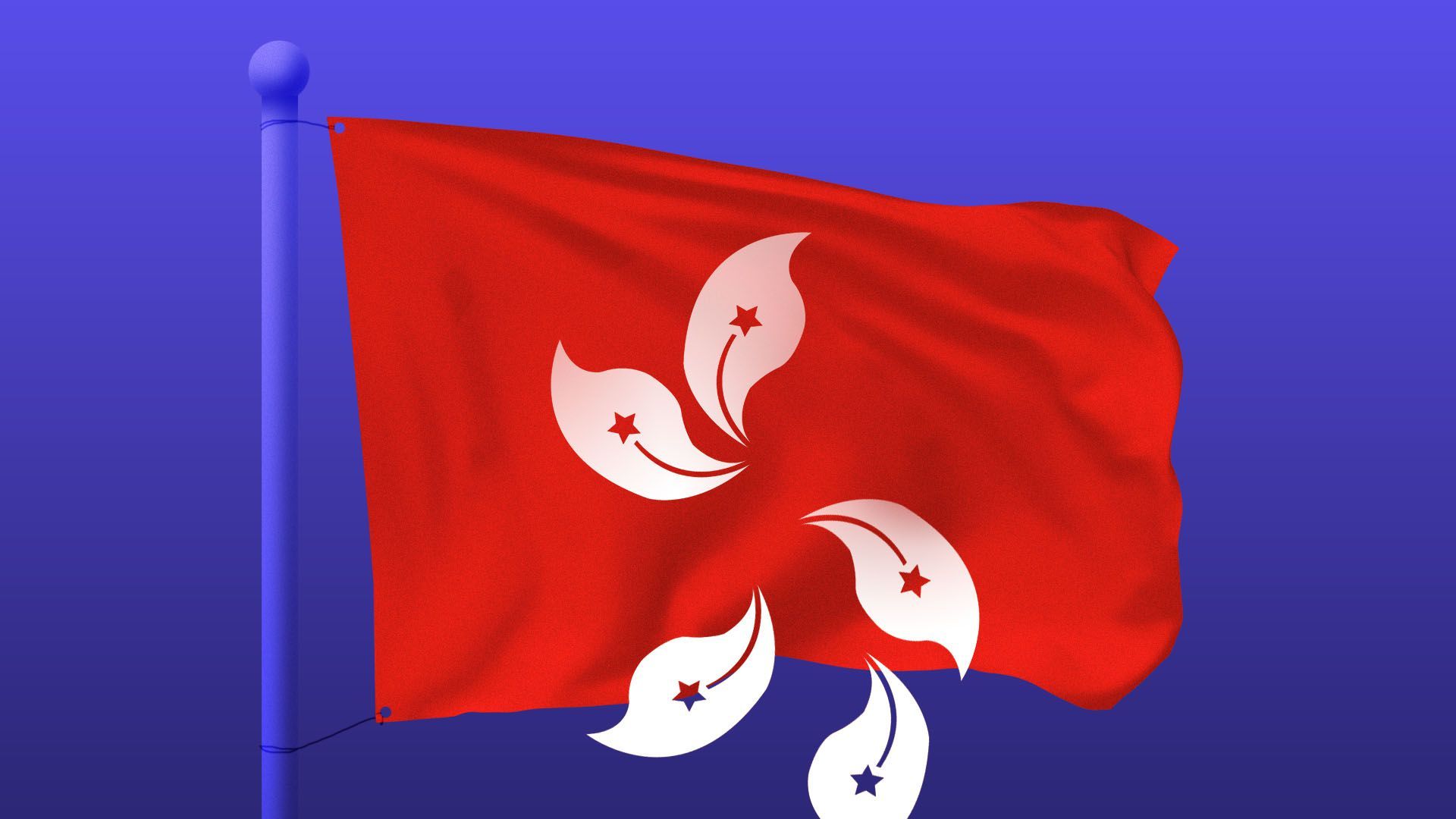 Illustration of a the Hong Kong flag with the flower petals falling away