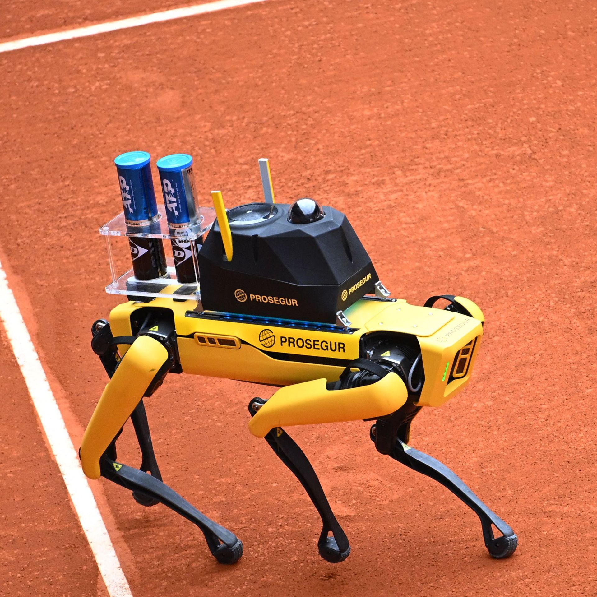 Water utilities use robots and dogs to liven up workplace - Blog
