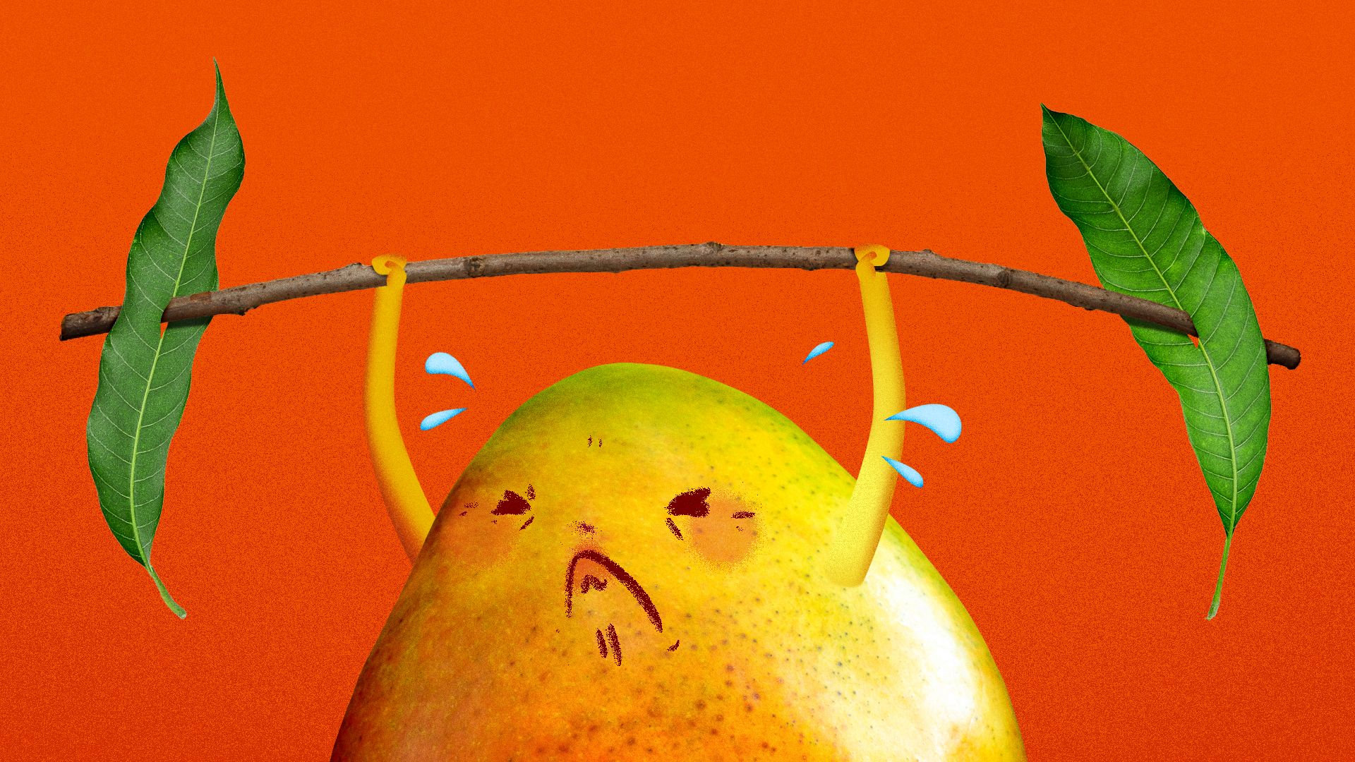 Illustration of a weak mango trying to lift weights made of leaves.