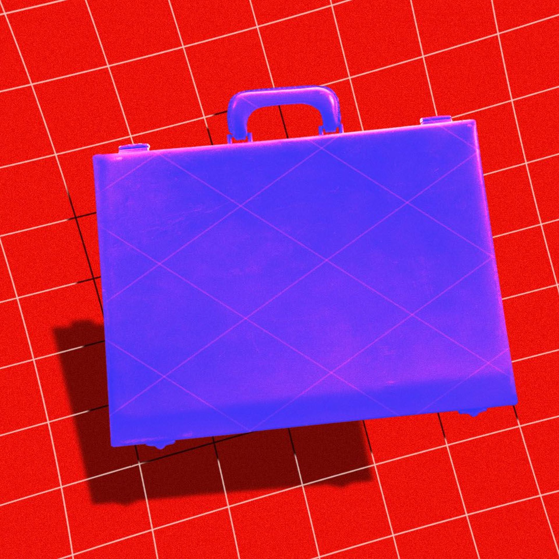 Illustration of a briefcase in the middle of a net