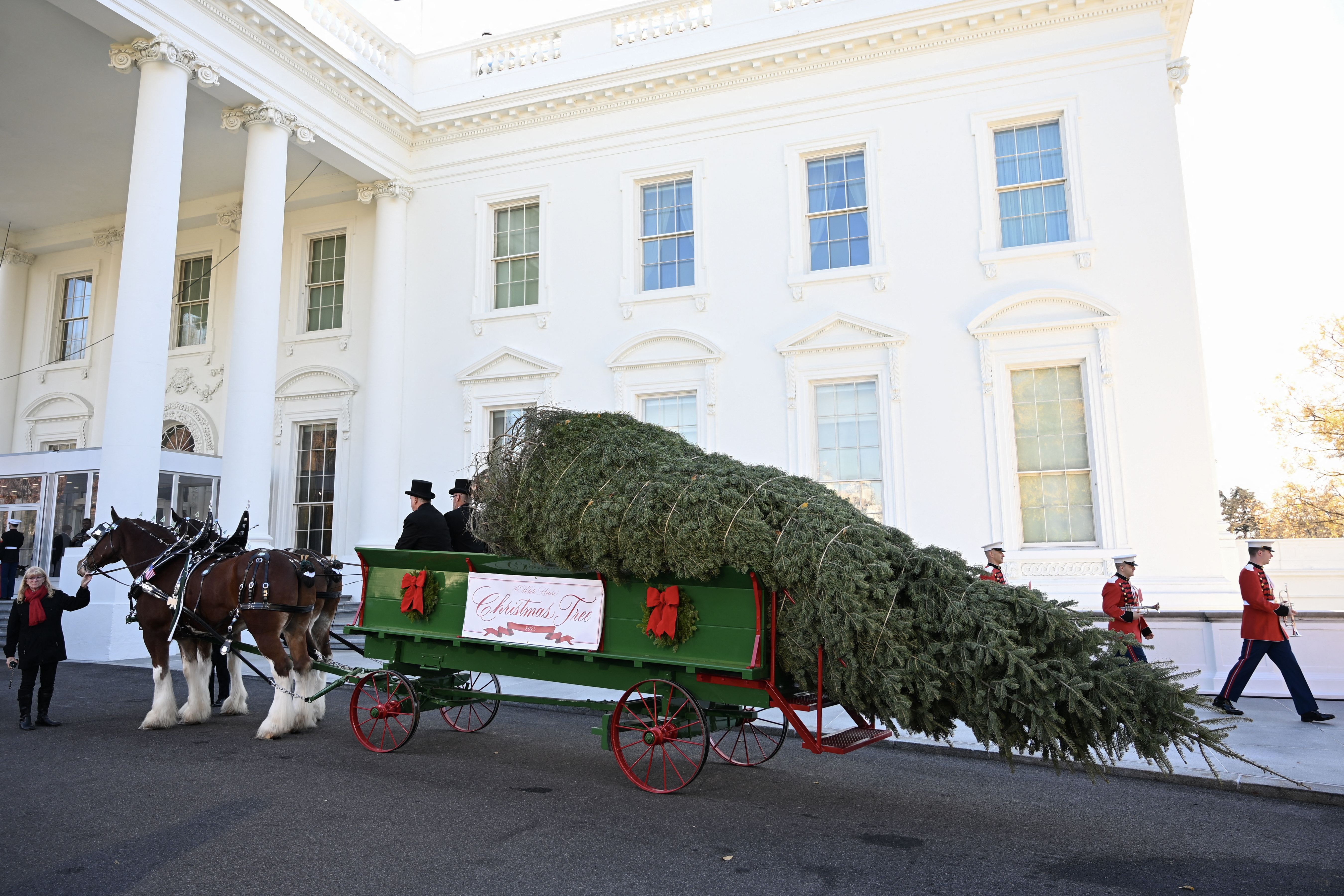 The tree was delivered to the White House by horse-drawn carriage. 