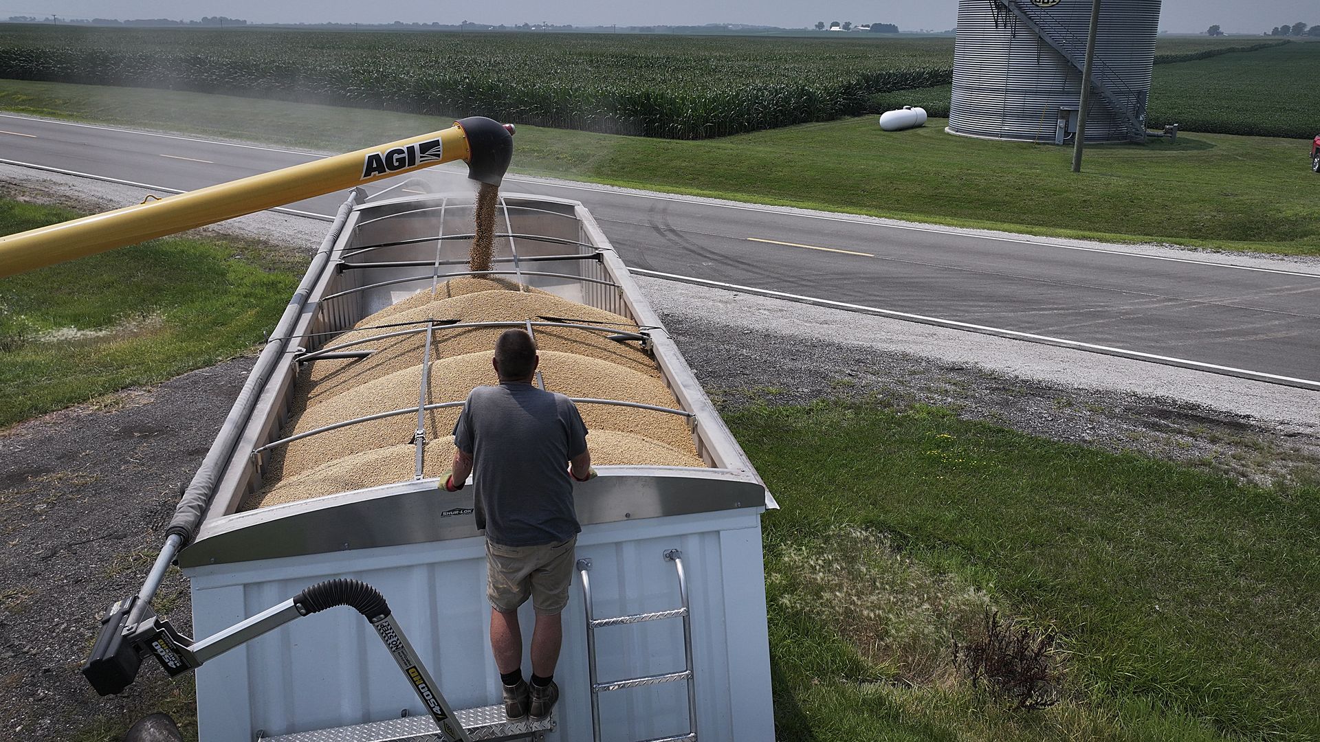 Farmer standing on the back of a truck watching soybeans loaded into the truck from a pipe. 