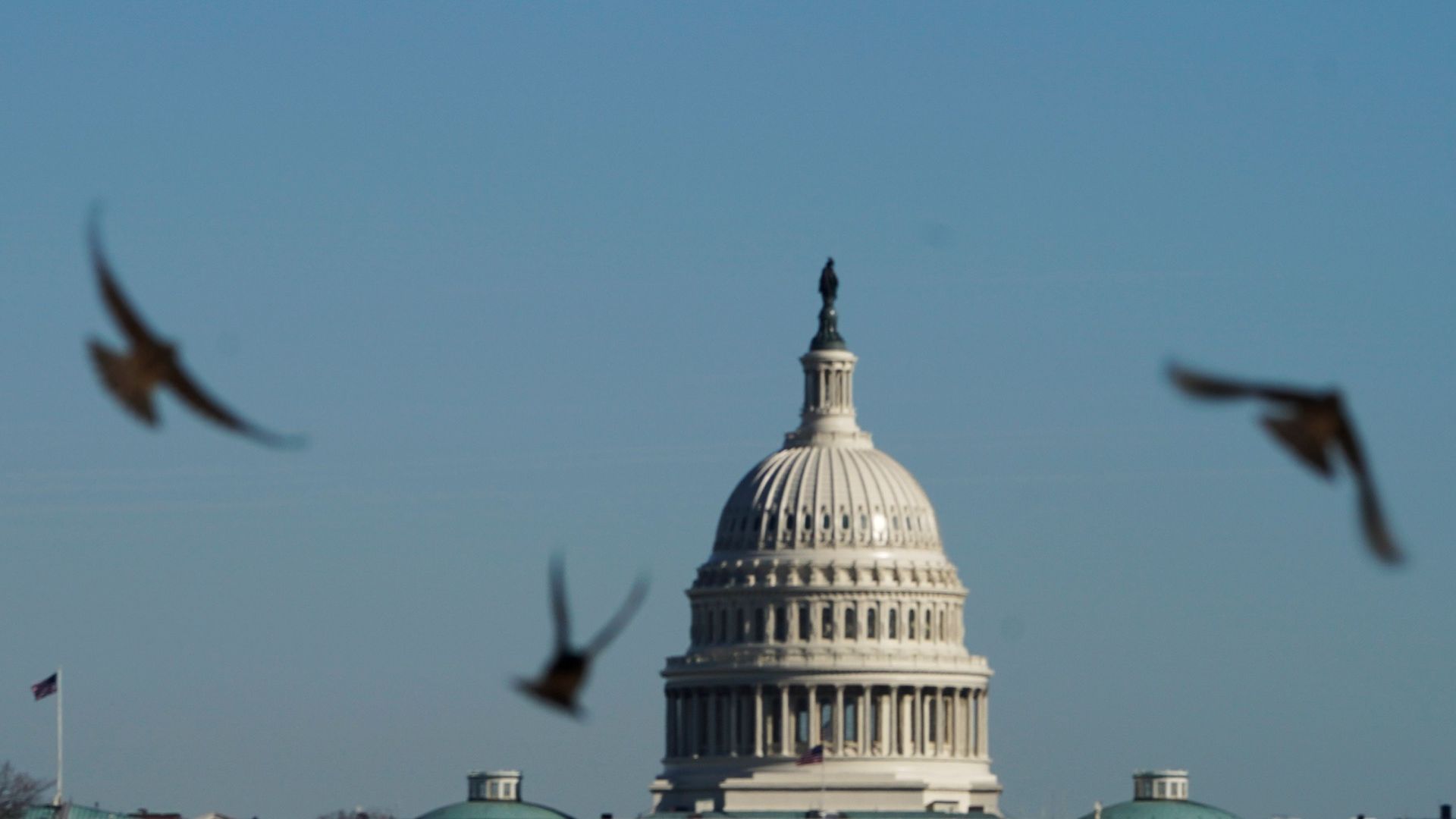 A picture of the U.S. Capitol building