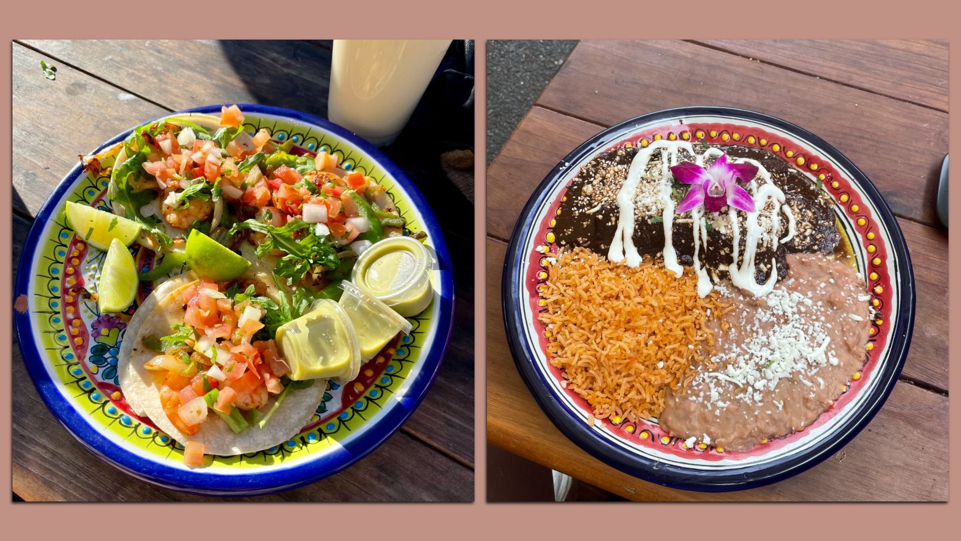 Two colorful Mexican dishes on decorative plates: the left features shrimp tacos with pico de gallo, limes, and sauces; the right shows mole enchiladas with rice, refried beans, and a flower garnish.