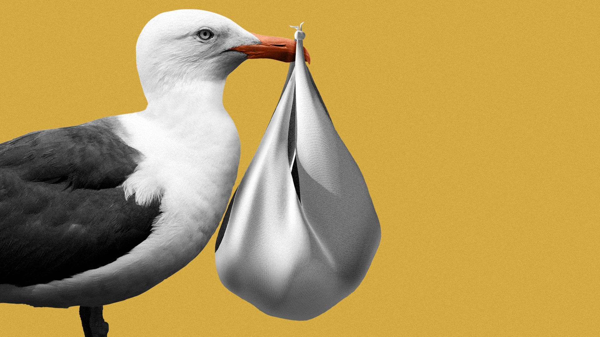 Illustration of a seagull holding a baby bundle.