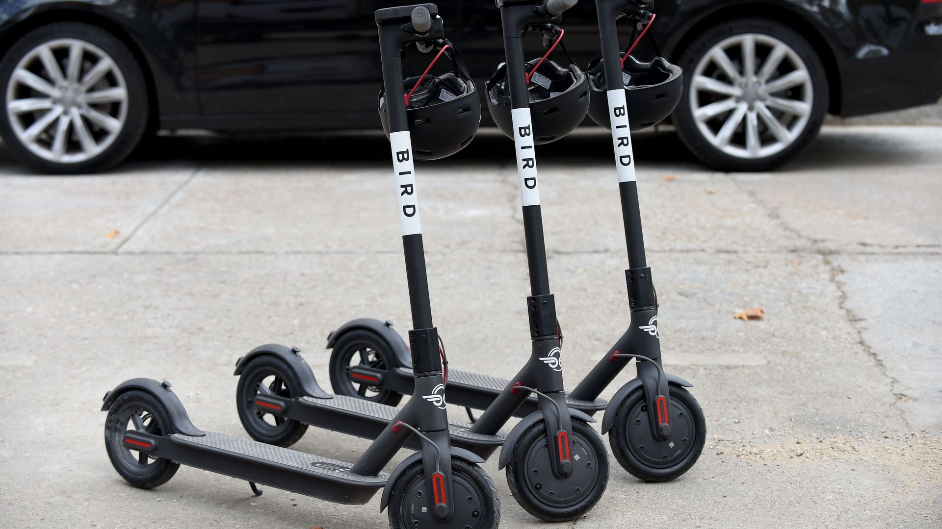 Photo of Bird scooters on sidewalk.