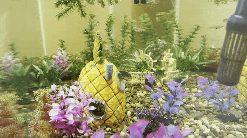 Aquarium with a yellow pineapple-shaped decoration surrounded by purple and green artificial plants, pebbles on the bottom, and small fish swimming around.
