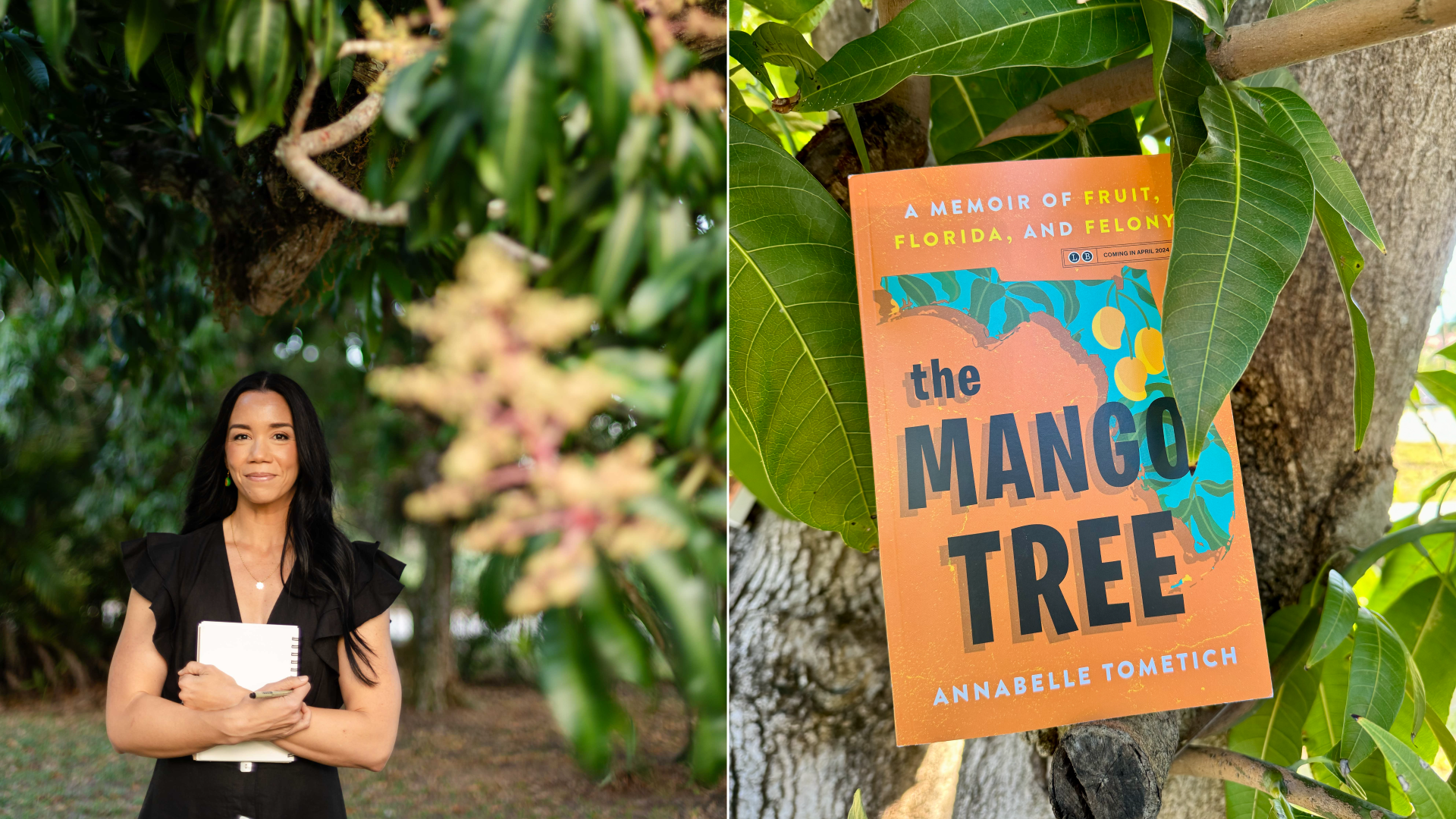 Two photos side-by-side, one of a woman in a black dress holding a notebook surrounded by foliage, the other of an orange book surrounded by foliage called "The Mango Tree: A Memoir of Fruit, Florida, and Felony." 