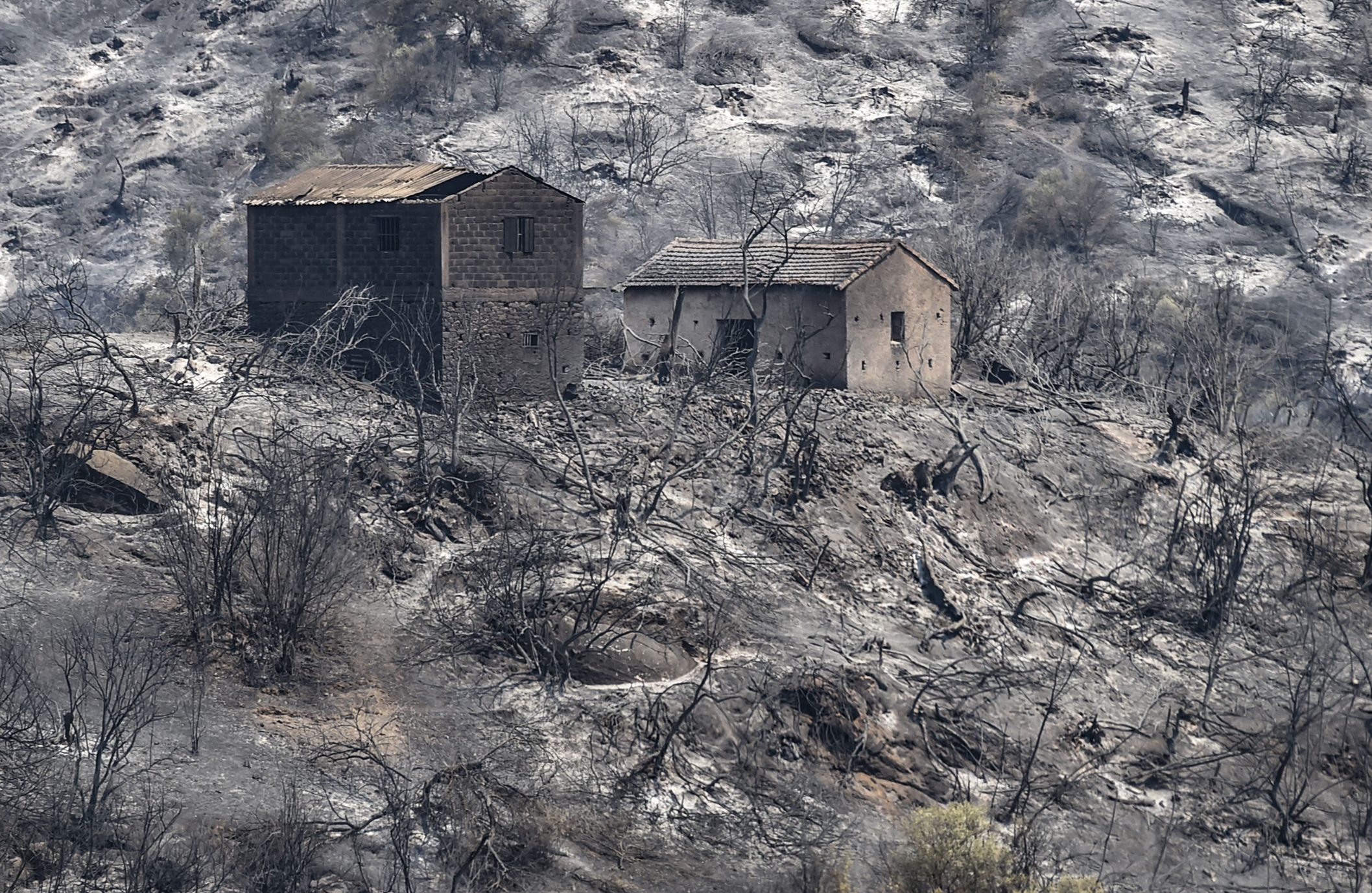 Burned houses stand amidst charred trees, following a wildfire in the forested hills of the Kabylie region, east of the Algerian capital Algiers, on August 11, 2021.
