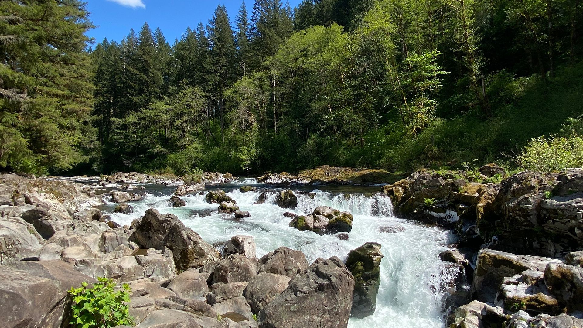 A stream rushing through rocky shores with green trees in the background