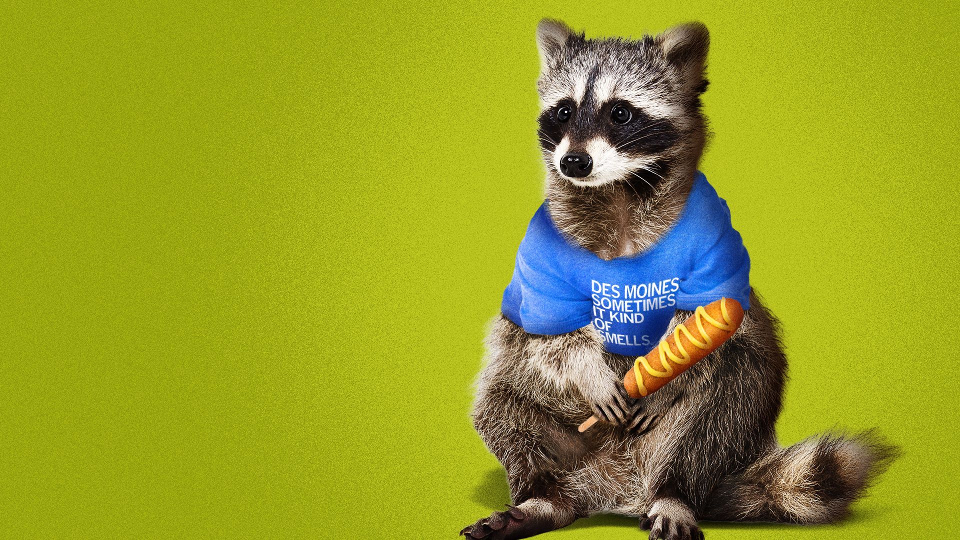 Illustration of a raccoon wearing a RAYGUN shirt and holding a corndog. 