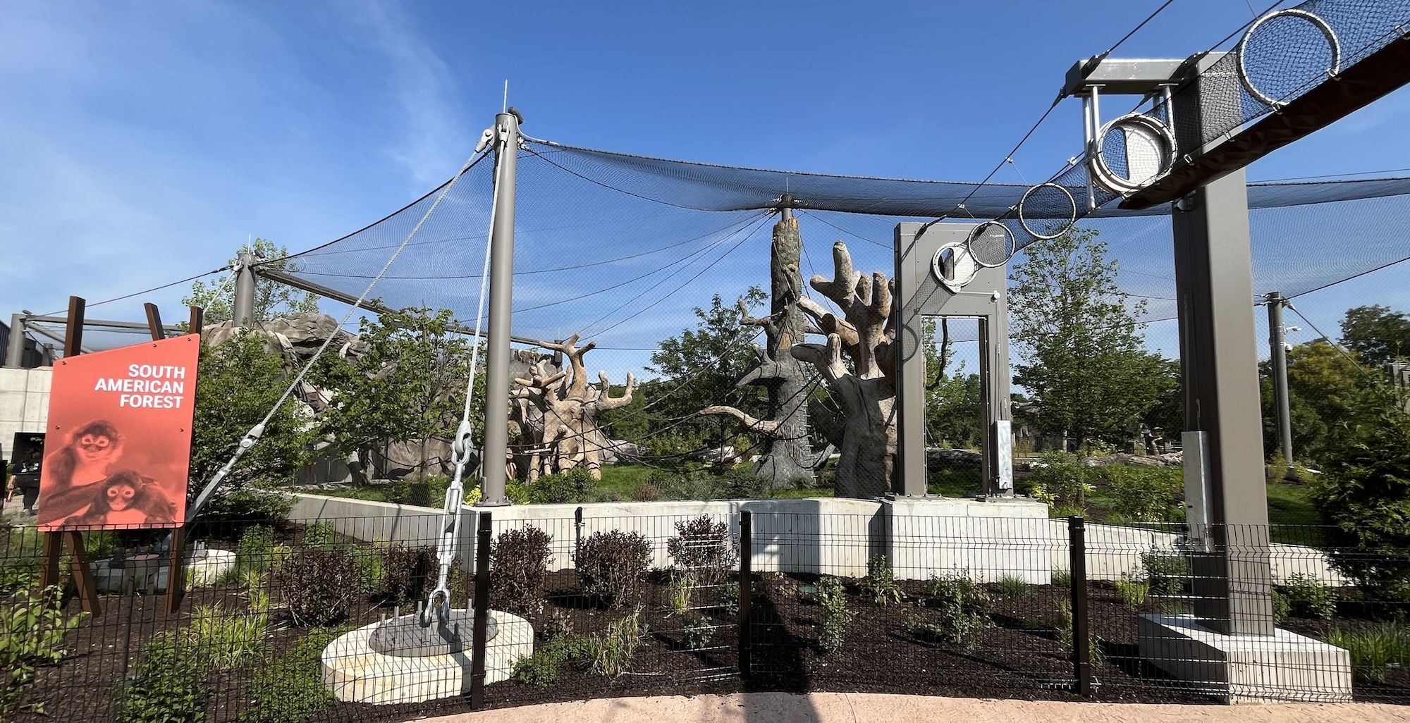Nets and trees in a zoo gorilla habitat.
